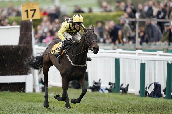 Al Boum Photo & Paul Townend Gold Cup Cheltenham 2019