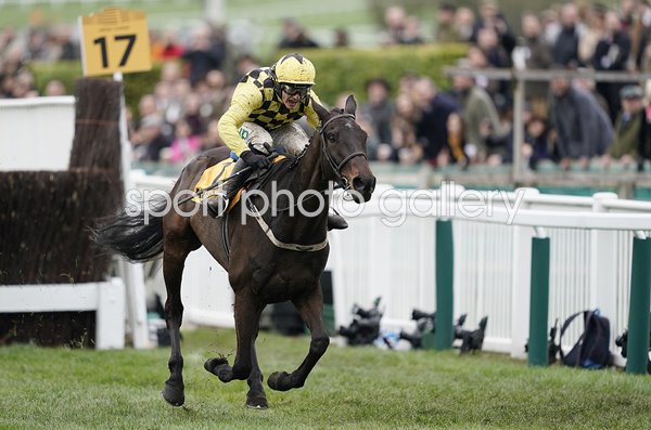 Al Boum Photo & Paul Townend Gold Cup Cheltenham 2019
