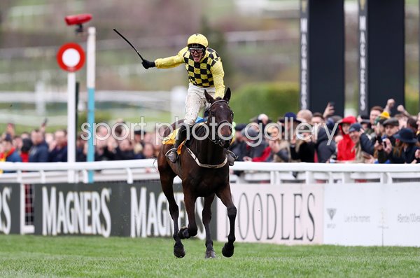 Paul Townend & Al Boum Photo win Gold Cup Cheltenham 2019