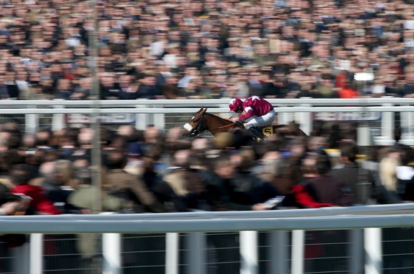 Davy Russell & Tiger Roll win Triumph Hurdle Cheltenham Festival 2014