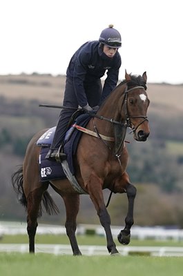 Tiger Roll Double Grand National Winner Cheltenham Gallops 2019