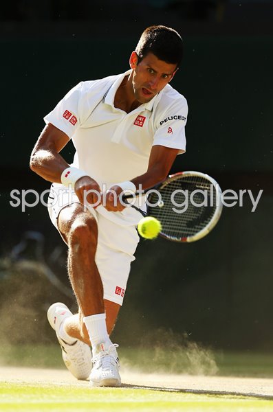 Novak Djokovic Serbia Wimbledon Final 2014