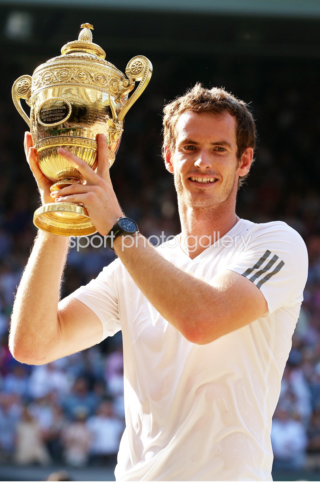 Andy Great Britain Champion | Tennis Posters