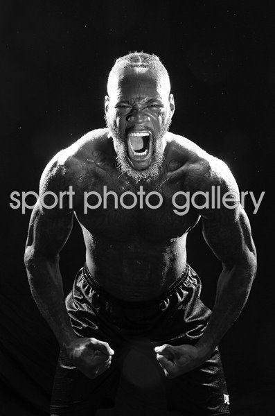 Deontay Wilder USA WBC World Heavyweight Champion 2019