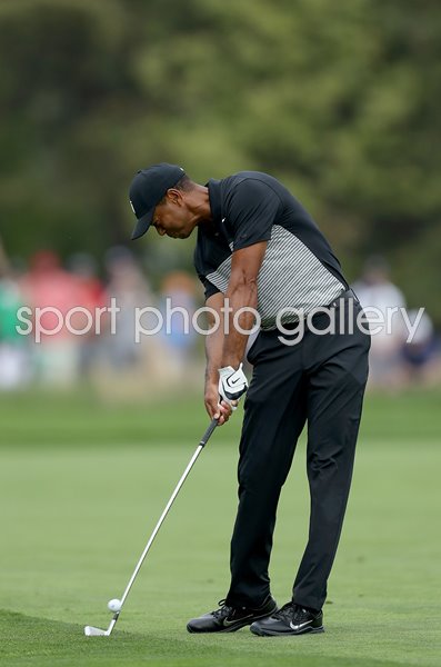 Tiger Woods United States USPGA Bethpage Black New York 2019