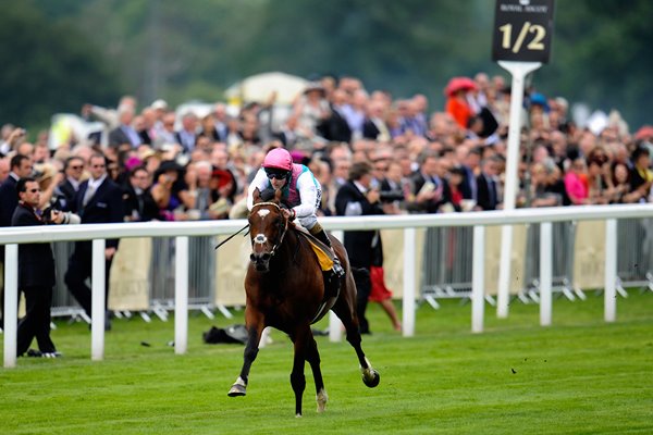 Frankel wins Queen Anne at Royal Ascot 2012