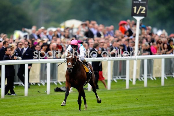 Frankel wins Queen Anne at Royal Ascot 2012