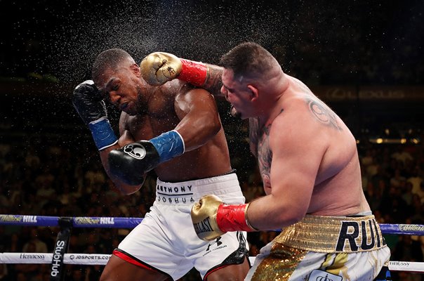 Andy Ruiz Jr. v Anthony Joshua World Heavyweight Boxing New York 2019