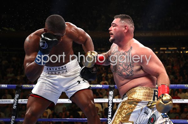 Andy Ruiz Jr.v Anthony Joshua Madison Square Garden New York 2019