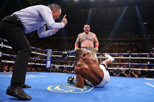 Andy Ruiz Jr. knock down Anthony Joshua New York 2019