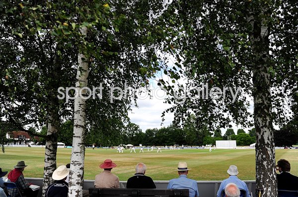 Old Merchant Taylors' School Middlesex County Championship 2015 Images