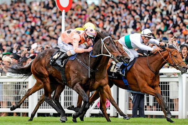 Luke Nolen & Black Caviar Royal Ascot