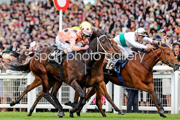 Luke Nolen & Black Caviar Royal Ascot