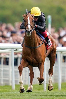 Frankie Dettori riding Stradivarius York Races 2019