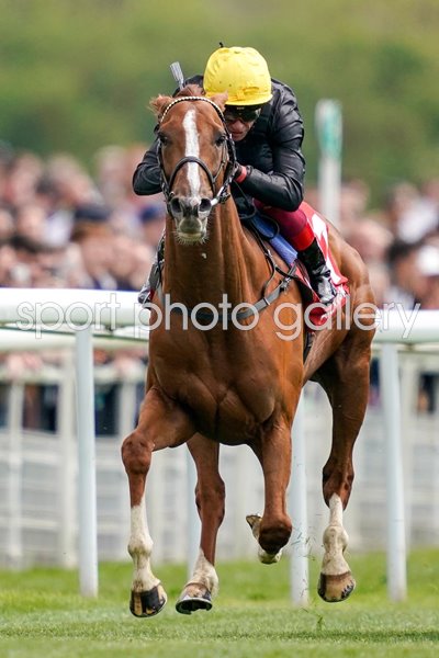 Frankie Dettori riding Stradivarius York Races 2019