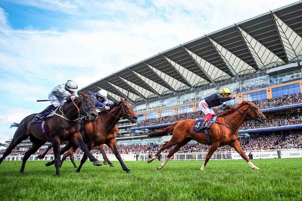 Frankie Dettori riding Stradivarius wins Gold Cup Royal Ascot 2019 