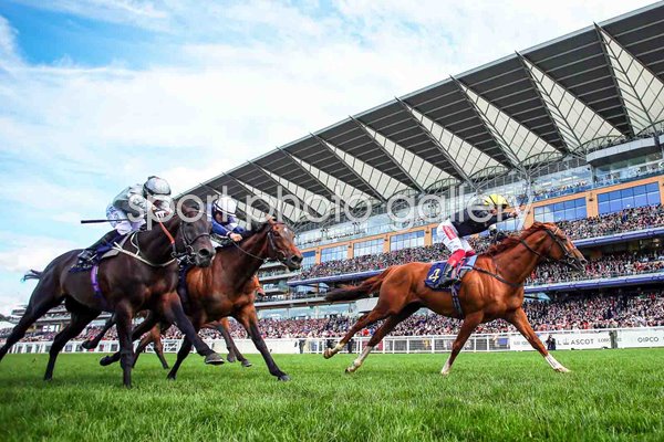 Frankie Dettori riding Stradivarius wins Gold Cup Royal Ascot 2019 