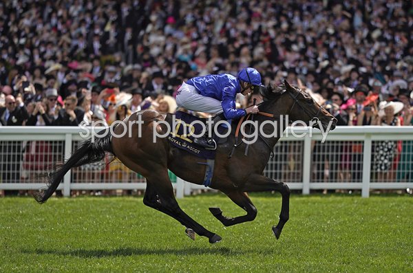 James Doyle & Pinatubo win The Chesham Stakes Royal Ascot 2019