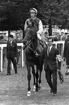 Lester Piggott & Nijinsky Flat Racing Legends