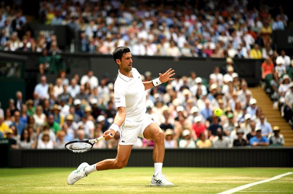 Novak Djokovic Forehand v David Goffin Wimbledon Tennis 2019