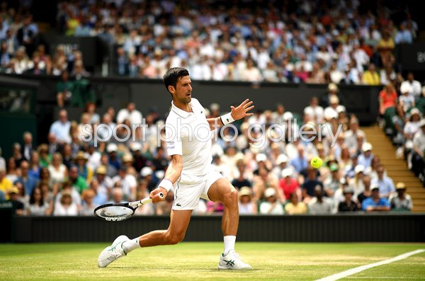 Novak Djokovic Forehand v David Goffin Wimbledon Tennis 2019
