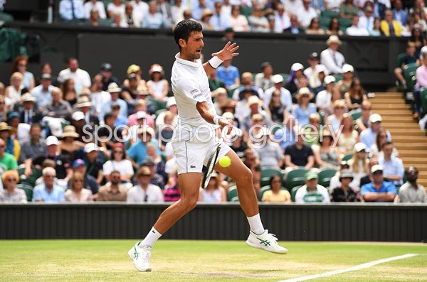 Novak Djokovic Forehand v David Goffin Wimbledon 2019