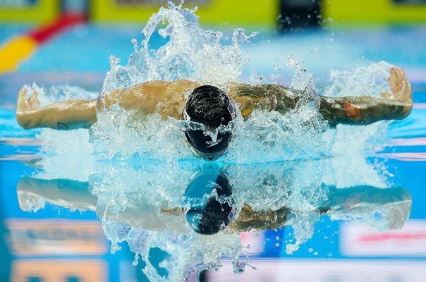 Caeleb Dressel USA Butterfly Silhouette China 2018