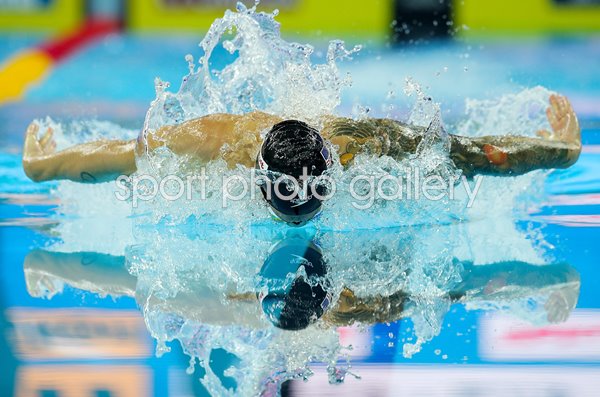 Caeleb Dressel USA Butterfly Silhouette China 2018