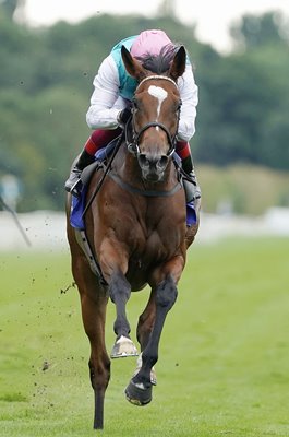 Jockey Frankie Dettori & Enable win Yorkshire Oaks York 2019