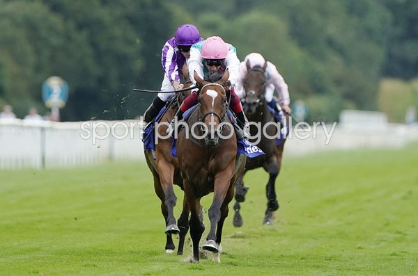 Frankie Dettori & Enable win Yorkshire Oaks York 2019