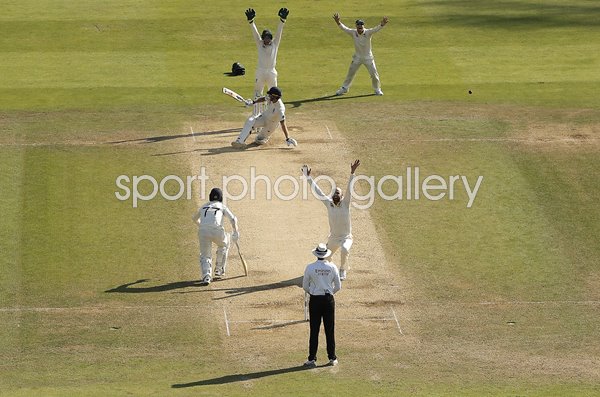 Nathan Lyon appeals v Ben Stokes England v Australia Leeds Ashes 2019