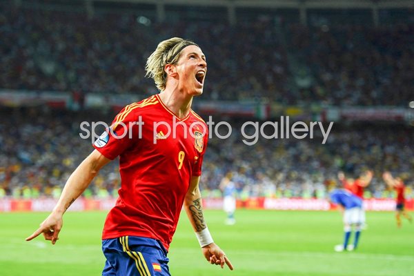 Torres celebrates scoring  v Italy in Euro 2012 Final