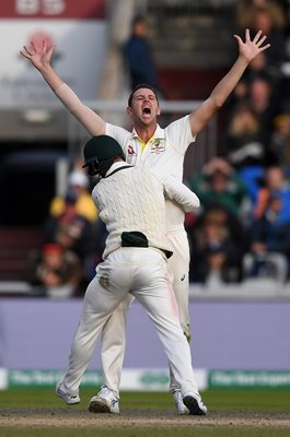 Josh Hazlewood Australia winning wicket Old Trafford 2019