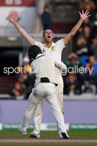 Josh Hazlewood Australia winning wicket Old Trafford 2019