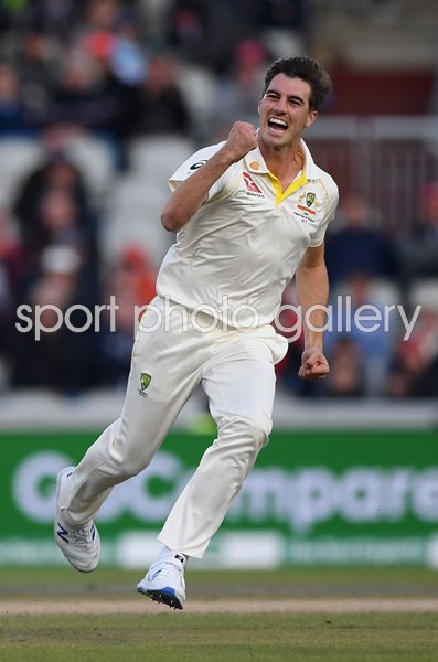 Pat Cummins Australia celebrates Joe Root wicket Ashes 2019