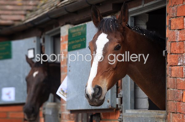 Kauto Star and Denman Ditcheat Stables Wincanton 2008