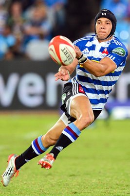 Cheslin Kolbe Western Province Currie Cup 2015