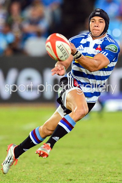 Cheslin Kolbe Western Province Currie Cup 2015