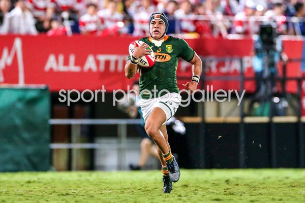 Cheslin Kolbe South Africa scores v Japan Saitama 2019