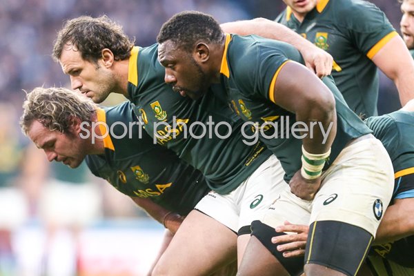 Jannie du Plessis, Bismarck du Plessis & Tendai Mtawarira South Africa Front Row 2016
