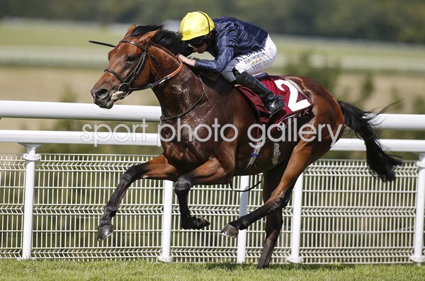 Ryan Moore & Crystal Ocean Goodwood Festival 2017