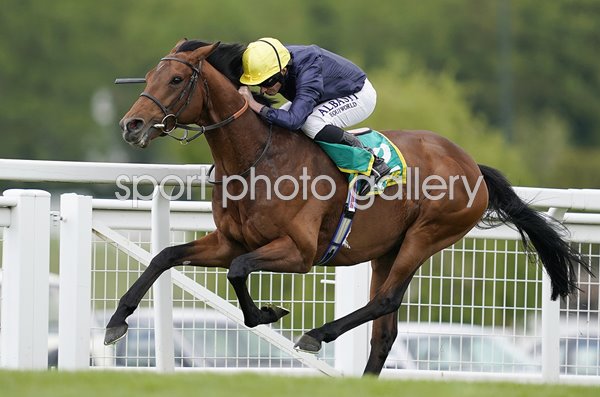 Ryan Moore & Crystal Ocean Gordon Richards Stakes Sandown 2019