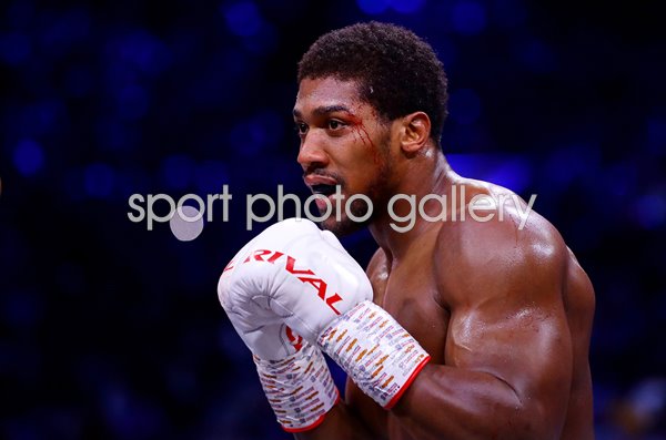 Anthony Joshua World Heavyweight Title Fight Saudi Arabia 2019