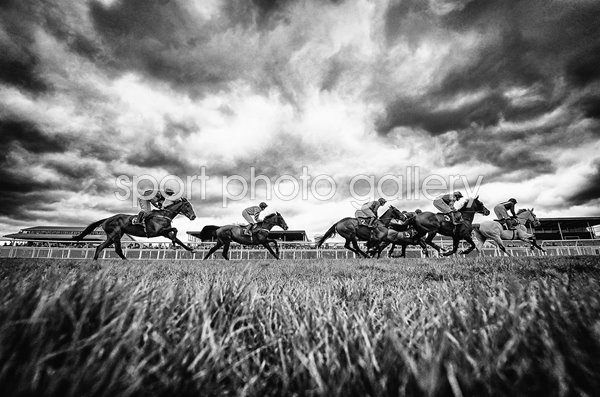 GetItReady For Cheltenham Handicap Hereford Races 2020