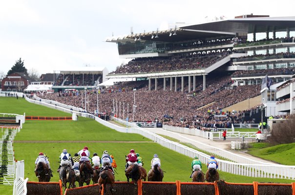 Cheltenham Festival 2020: Champion Day