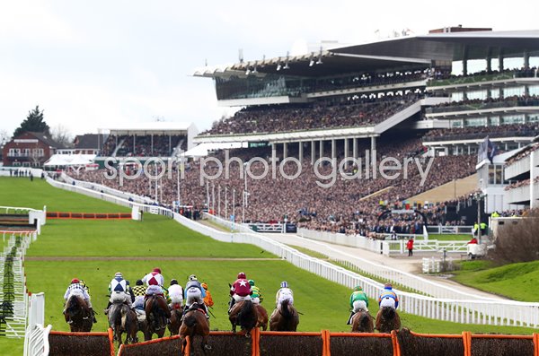 Cheltenham Festival 2020: Champion Day