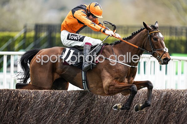 Aidan Coleman & Put The Kettle On win Arkle Trophy Cheltenham 2020 