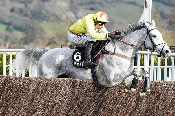Harry Skelton & Politologue Queen Mother Champion Chase Cheltenham 2020