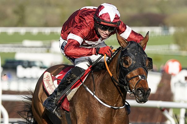 Keith Donoghue riding Tiger Roll Cheltenham Festival 2020