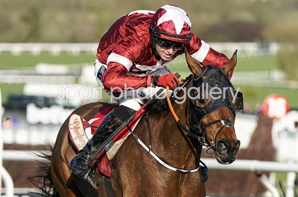 Keith Donoghue riding Tiger Roll Cheltenham Festival 2020